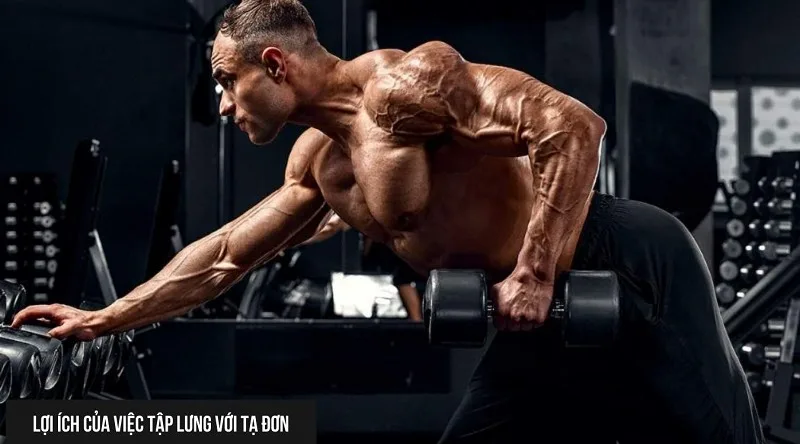 Cách tập lưng với tạ đơn cho người mới bắt đầu